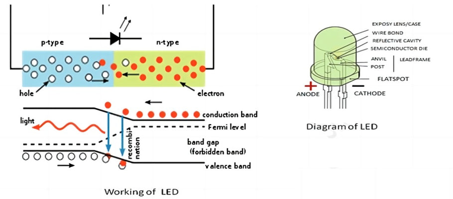 The Role And Features Of LED Light Engine