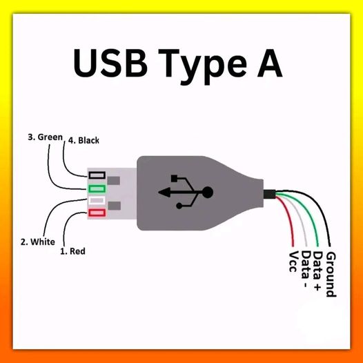 USB Type A