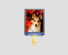 1.77" TFT Color Screen LCD